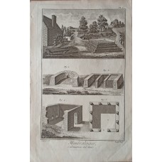 11784