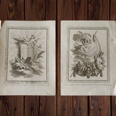 1876 Antique Hand-colored Botanical Lithograph Illustrations from German Botany