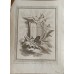 1876 Antique Hand-colored Botanical Lithograph Illustrations from German Botany