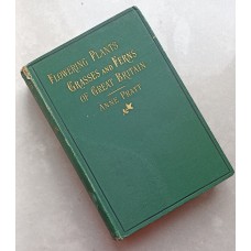 8869