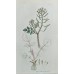 Easter Russian Porcelain Egg with Stand
