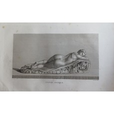 11718