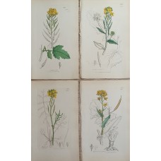 Moscow School of Icon-Painting Book