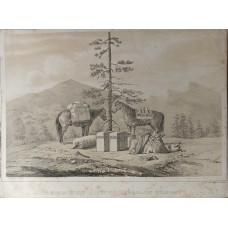 KAMCATKA RUSSIA 1840 DRAEGER & CIE UNUSUAL ANTIQUE VIEW KAMCATKA RUSSIA 1840 DRAEGER & CIE UNUSUAL ANTIQUE VIEW