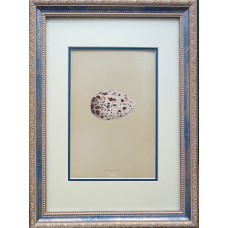 7341