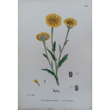 8010