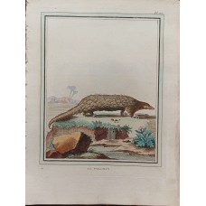 Leclerc, Fritzsch, Buffon Old Colored Copper Stitch circa 1780 Decorative