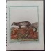 Leclerc, Fritzsch, Buffon Old Colored Copper Stitch circa 1780 Decorative