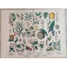 10567
