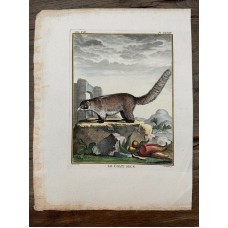 Leclerc, Fritzsch, Buffon Old Colored Copper Stitch circa 1780 Decorative