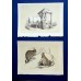 antique colored lithographs 