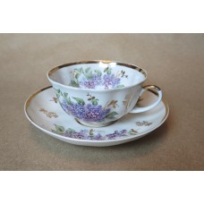Lomonosov Tea Cup and Saucer Antique Roses