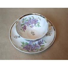 Lomonosov Cobalt Gold Cup and Saucer Arches