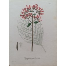 11897