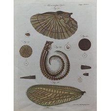 11906