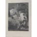 11915