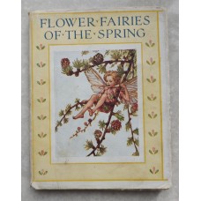Flower Fairy