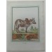 Antique hand-colored engraving Le Belier D'Islande (The Icelandic Ram) by George