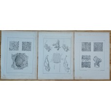 11361
