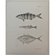 10526 10526