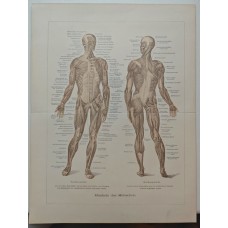 10514