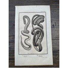 The Grimaces Louis LÚopold Boilly 1823 Antique Print