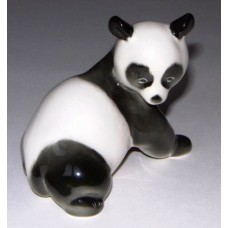 Cute Panda Lomonosov
