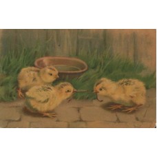 Chicken with Worm Antique Postcard