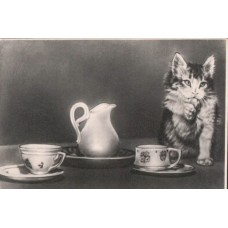 USSR 1957 Cat Drinking Cream Vintage postcard