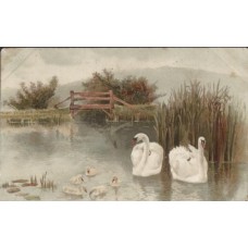 Swan Family Russian Antique Postcard