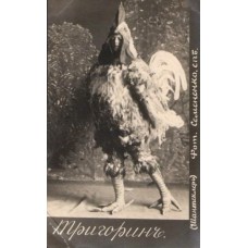 Man in Fancy Dress-Rooster Antique Postcard