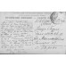 Dachshund and 2 Mongrels Antique Postcard
