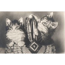 USSR 1956 Cats in the Basket Vintage postcard