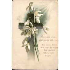 Snowdrops Antique Postcard 1904