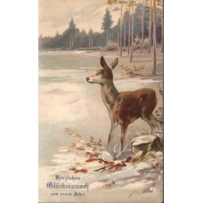 Deer antique postcard 1907