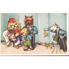 Dogs have Their Picture Russian Old Postcard