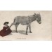 Girl with Donkey Antique Postcard