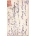 Rooster and Vegetables Russian Antique Postcard